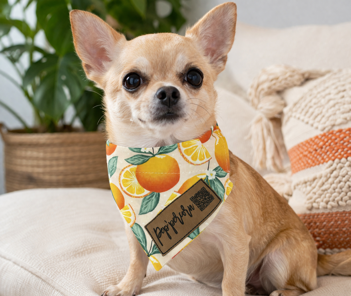 Personalized Dog Bandanas - General Theme Designs