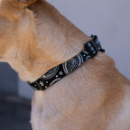 OG Bandito Pet Collar