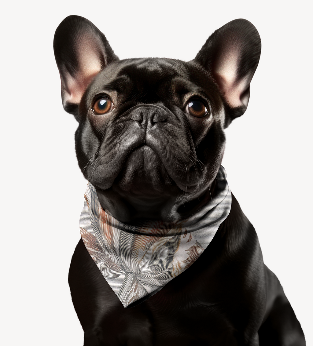 Sebastian & Clementine Tulip Bandana Collar for Dogs and Cats