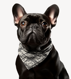 Sebastian & Clementine Abstract Lines Bandana Collar for Dogs and Cats