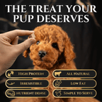 Freeze-Dried Beef Liver Dog Treats