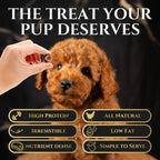 Freeze-Dried Chicken Heart Dog Treats