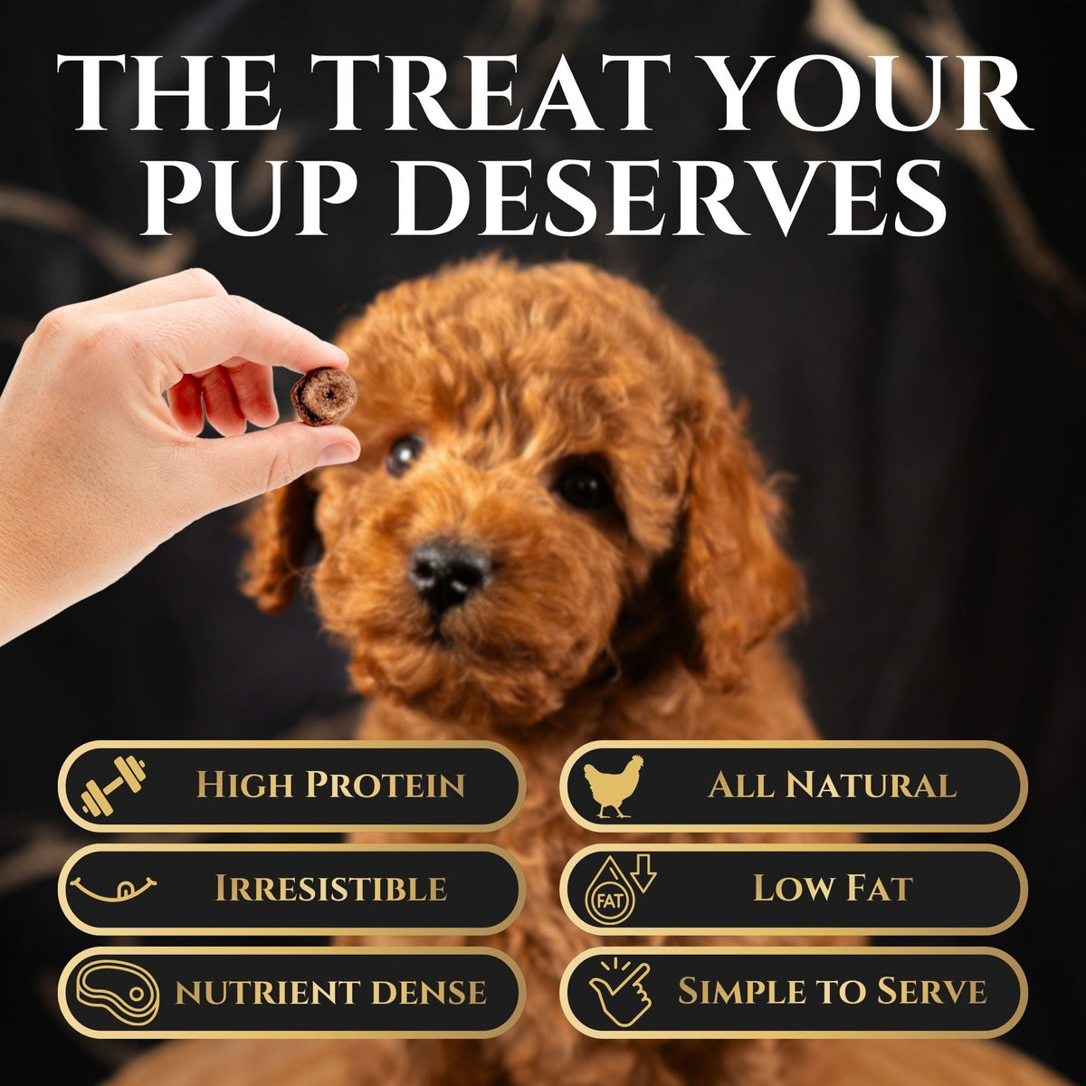Freeze-Dried Chicken Heart Dog Treats