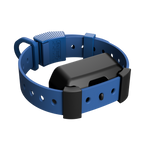Training Collar Setup