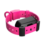 Training Collar Setup