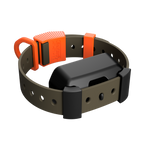 Training Collar Setup