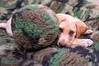 HuggleCause™, Warrior Canine Connection, Camouflage HuggleFleece® Plush Ball Dog Toy