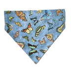 Personalized Dog Bandanas - General Theme Designs
