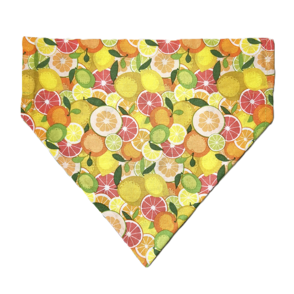 Personalized Dog Bandanas - General Theme Designs