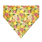Personalized Dog Bandanas - General Theme Designs