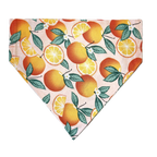 Personalized Dog Bandanas - General Theme Designs
