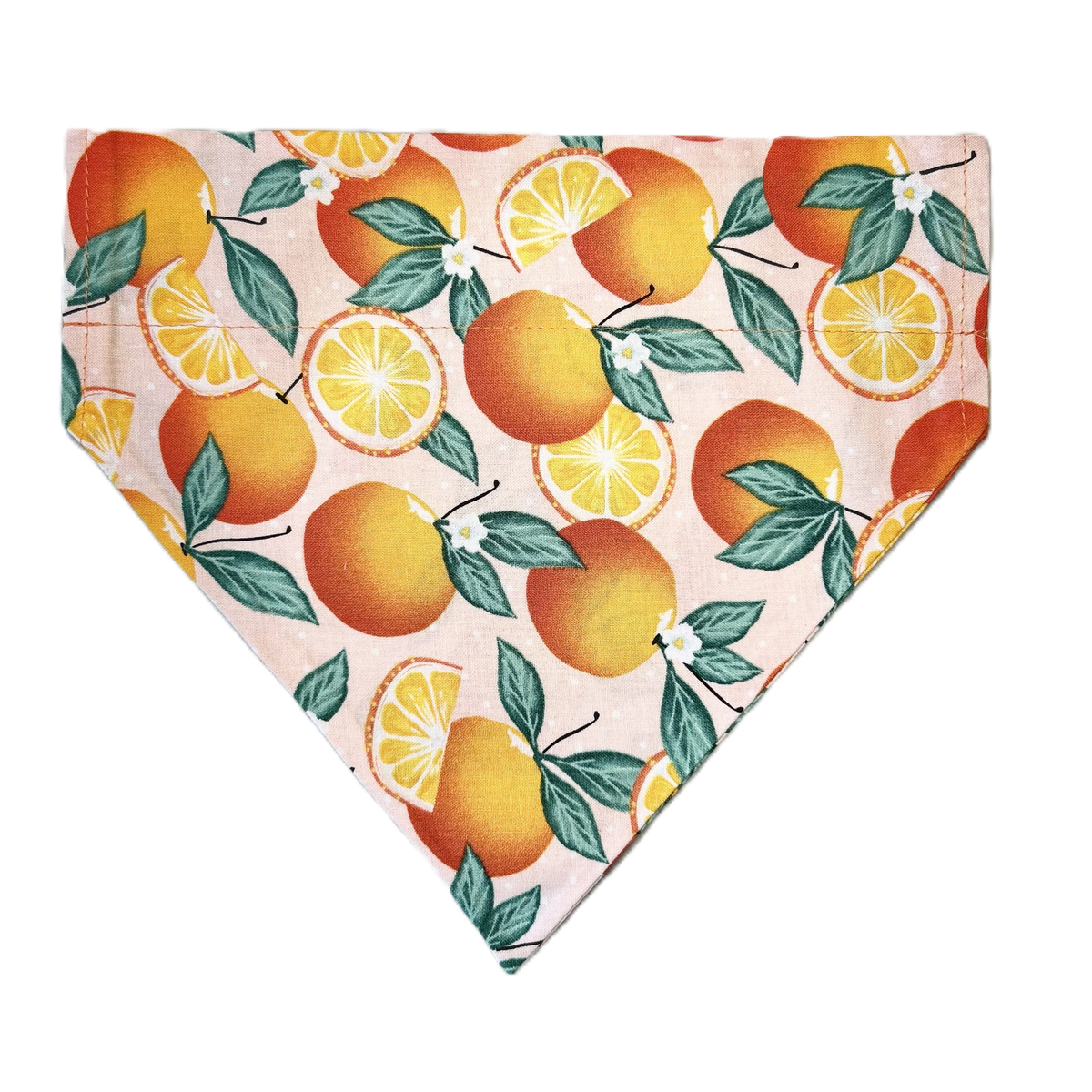 Personalized Dog Bandanas - General Theme Designs