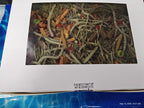 Fun & Forage Box  "No More Boredom" Box - Chinchillas, Guinea Pigs, Rabbits 26 OZ BOX