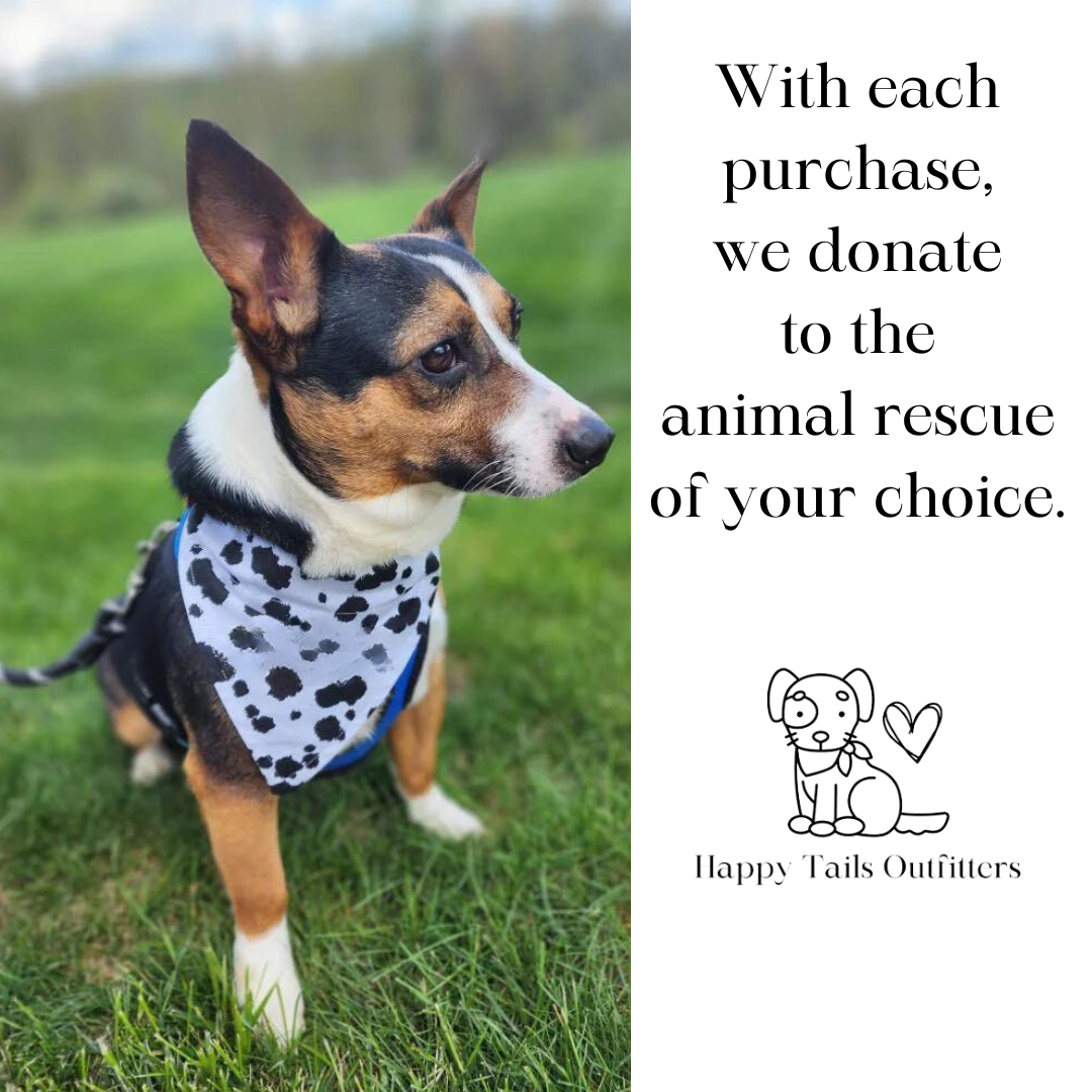 Americana Dog Bandana