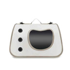 Portable Foldable Pet Carrier Bag for Cats & Small Dogs
