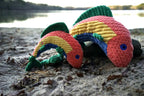 Raucous Rainbow Trout Knottie® Plush Dog Toy
