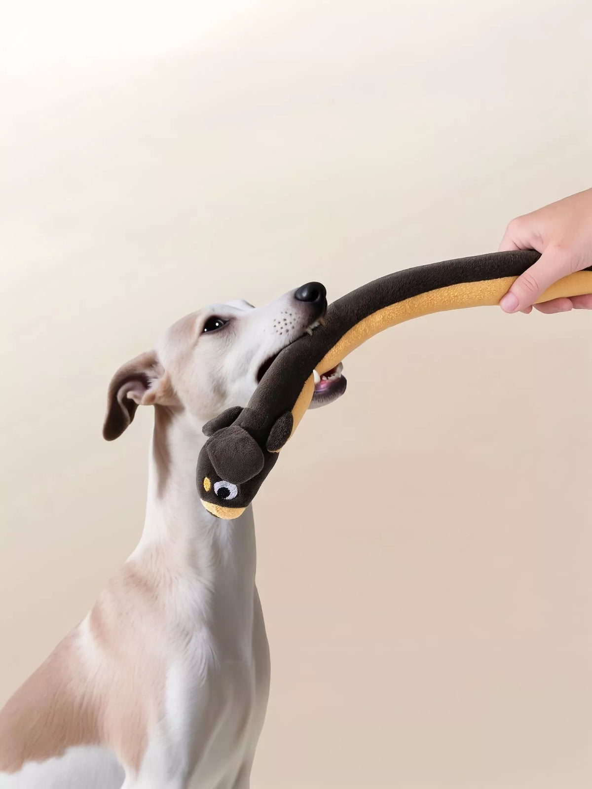 Long Animal Design Squeaky Pet Plush Toys
