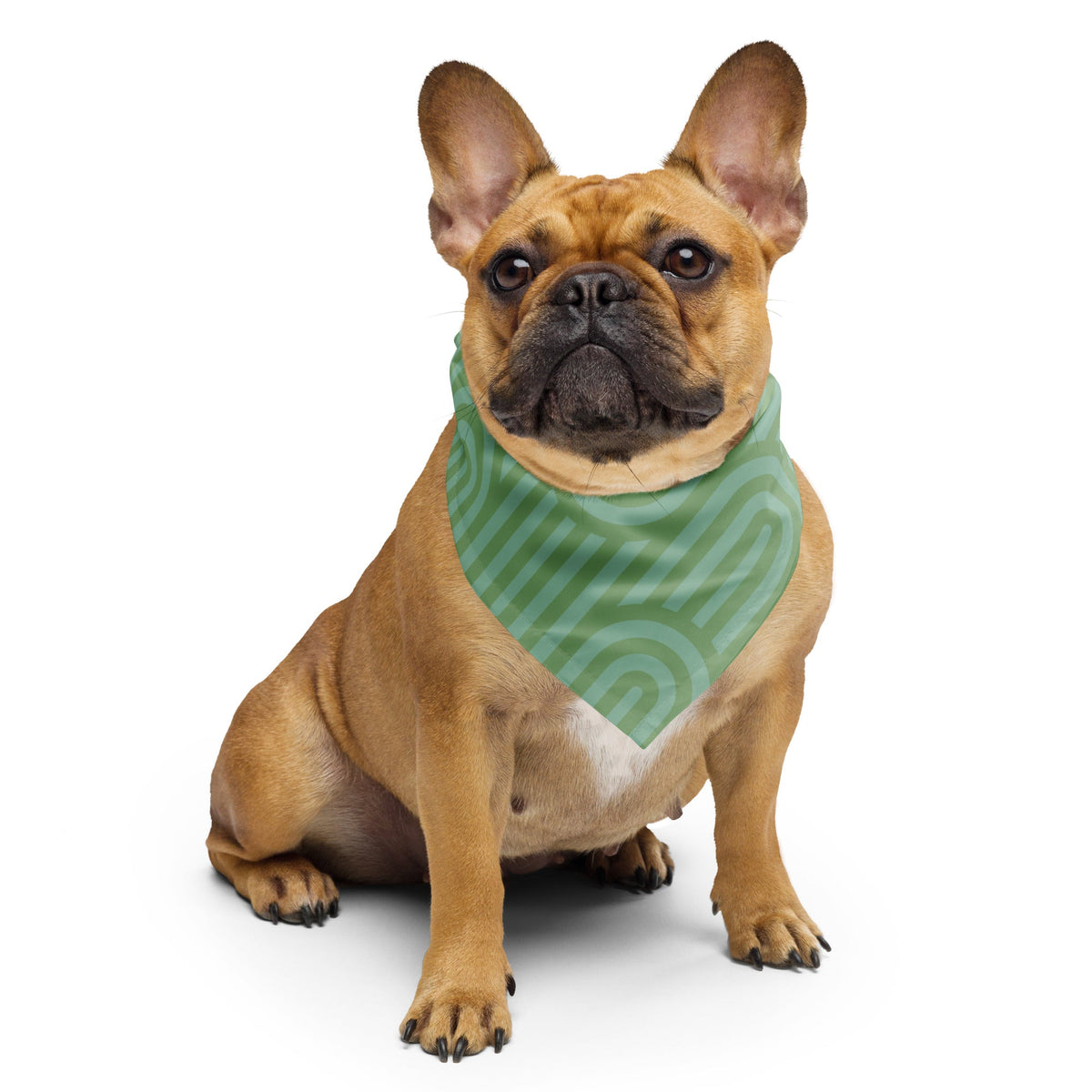 Sebastian & Clementine Scalloped Green Bandana For Dogs and Cats