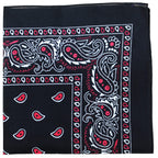 10 Pack Mechaly Dog Bandana Neck Scarf Paisley Polyester Bandanas - Any Pets