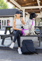 The Modern Dog Company - Electric Fuchsia Collar (Weather + Odor Resistant)