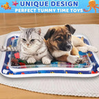 Inflatable Water Sensory Play Mat | Ocean Themed Pet Activity Mat