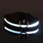 LED Dog Collar | Nylon Light-Up Safety Collar with Reflective Glow and 3 Flashing Modes