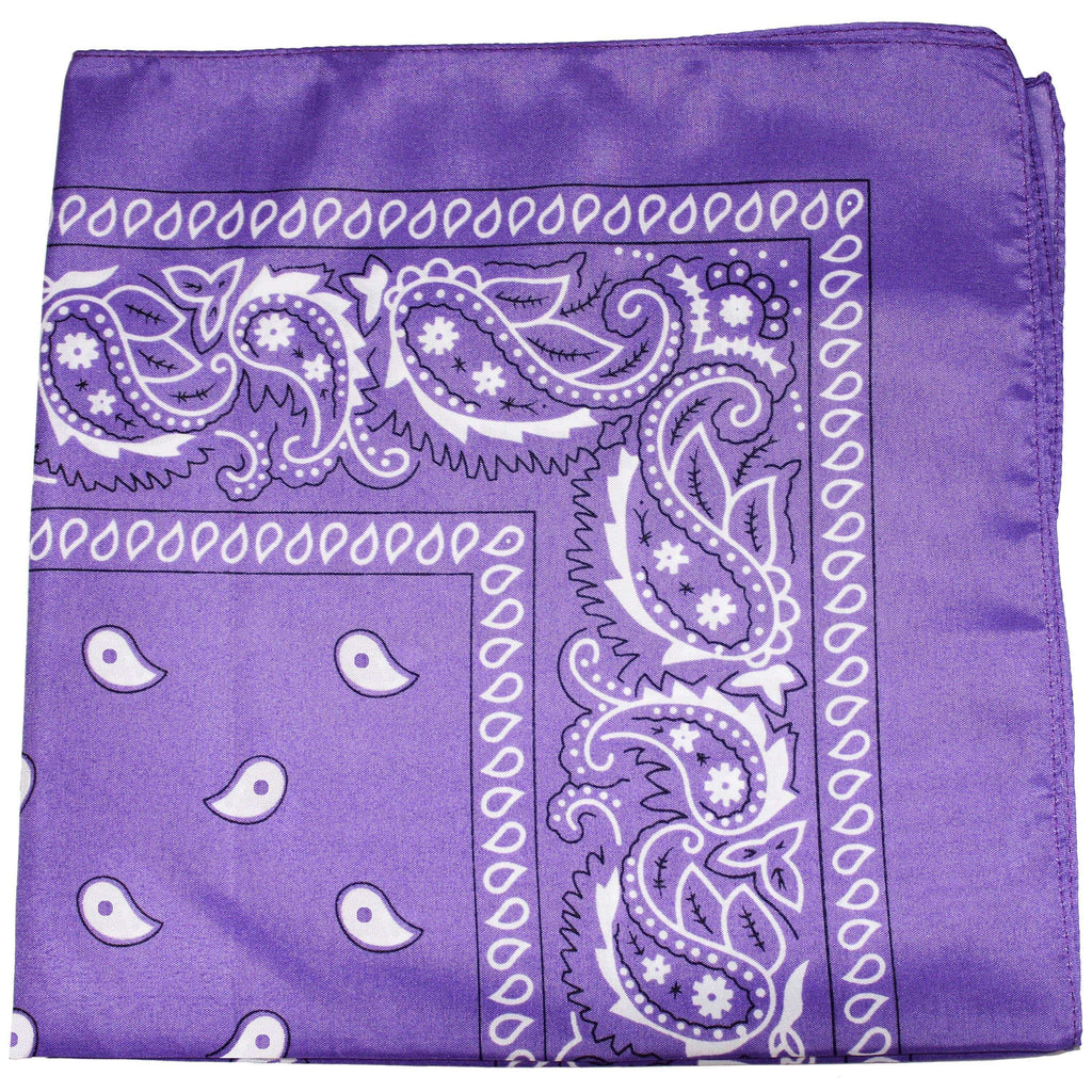 10 Pack Mechaly Dog Bandana Neck Scarf Paisley Polyester Bandanas - Any Pets