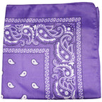 10 Pack Mechaly Dog Bandana Neck Scarf Paisley Polyester Bandanas - Any Pets
