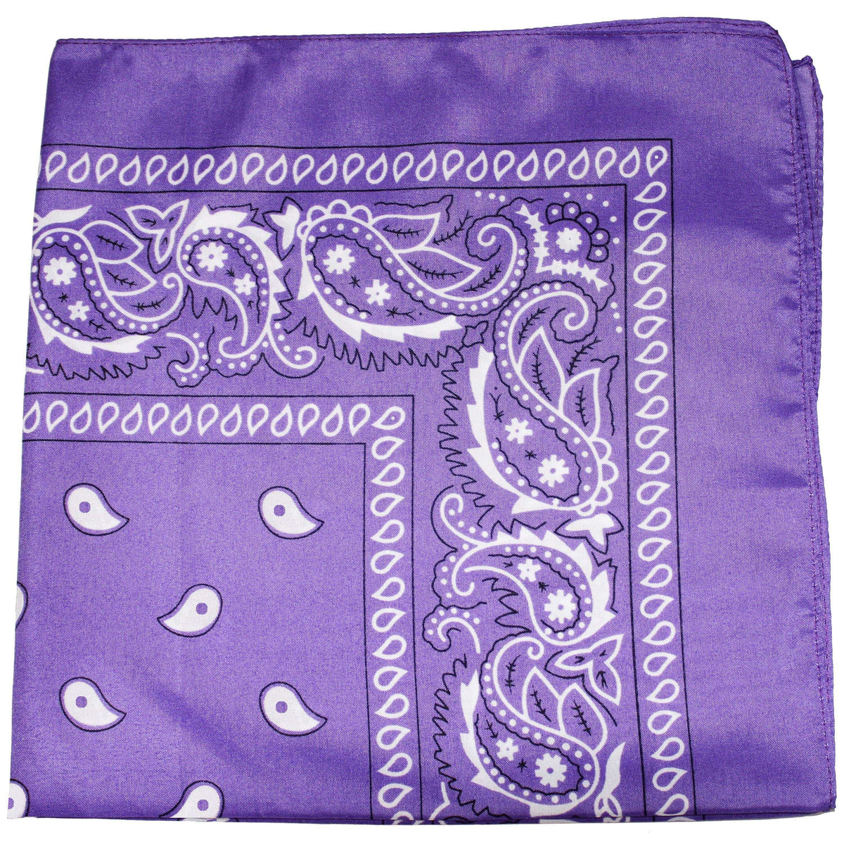 10 Pack Mechaly Dog Bandana Neck Scarf Paisley Polyester Bandanas - Any Pets