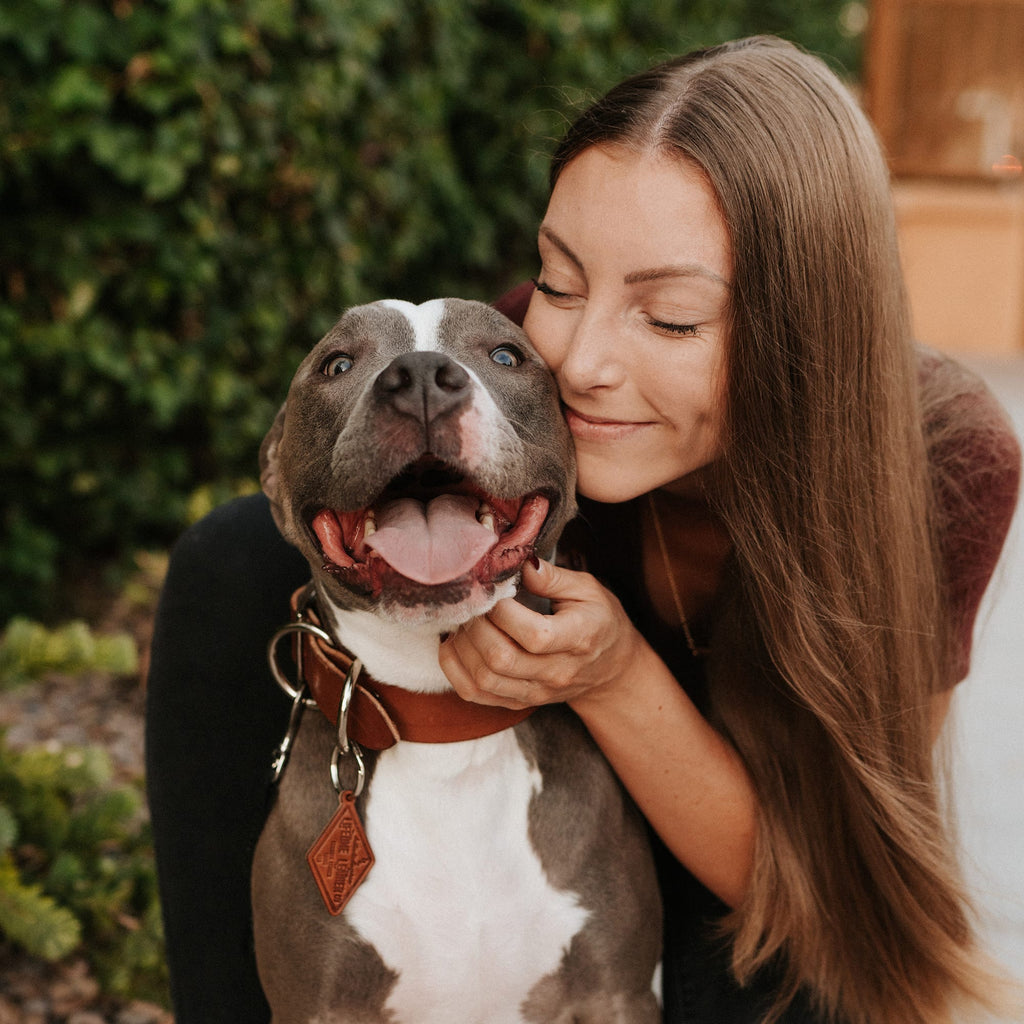 Leather Dog Collar - Classic