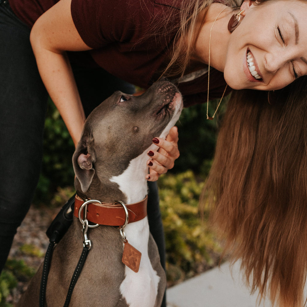Leather Dog Collar - Classic